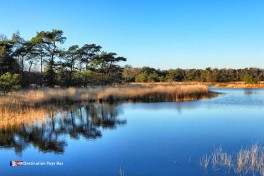 Camping à Overijssel Pays-Bas