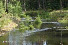 Province d\\\\\\\'Overijssel Pays-Bas