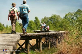 Parc national de Groote Peel aux Pays-Bas