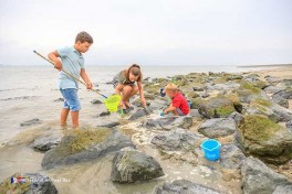 Le Camping Scheldeoord en Zélande est un véritable camping familial Il est situé directement derrière la digue du Westerschelde (Escaut Ouest) et donne aussi directement sur la plage