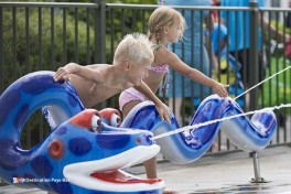 Camping familial aux Zélande Pays-Bas