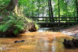Hôtel à Limbourg Hollande près de la forêt et de la nature