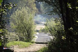 Camping Scholtenhagen à Haaksbergen Pays-Bas