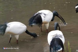 Parc d\\\\\\\'attraction au Limbourg Pays-Bas