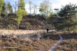 En dehors de la zone bâtie de Wellerlooi aux Pays-Bas et près du fameux village d\\\'Arcen au Limbourg se trouve le mini camping Heidehof