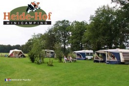 Le Camping Heidehof est situé dans le parc national néerlandais De Maasduinen