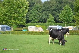 Service boulangerie au camping Pays-Bas