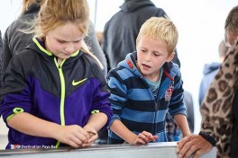 De Groot Recreatie organise diverses randonnées sur les vasières depuis la Hollande-Septentrionale sur l\\\'ancienne île de Wieringen située sur la mer des Wadden appartenant au patrimoine mondial