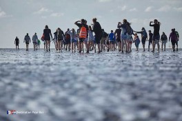 La Région des Wadden Pays-Bas
