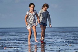 Randonnées sur la vasière Pays-Bas