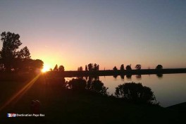 Oostvaardersplassen Pays-Bas