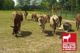 De Koperen Ezel Une journée en famille sur la Veluwe aux Pays-Bas