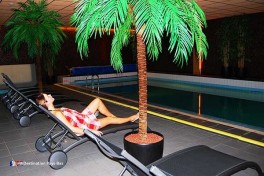 Hotel Pays-Bas avec piscine et sauna