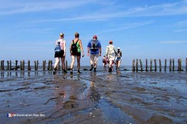 La mer des Wadden (vasières) est passionnante et donne cet ultime sentiment de vacances aux Pays-Bas