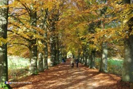 Château dans la forêt aux Pays-Bas