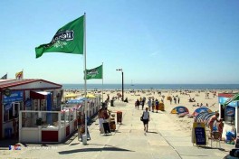 Camping a la Plage aux Pays-Bas